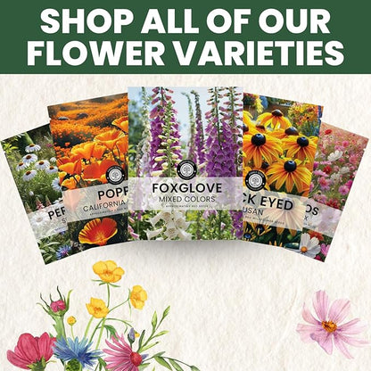 Foxglove Mixed Colors – 2,000 Seeds for Planting – 2026 Season – 1/2 Ounce Pouch