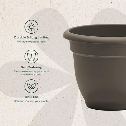 Bloem Ariana 10" Peppercorn Round Self-Watering Resin Planter Pot - Rolled Rim Indoor and Outdoor Gardening Planter