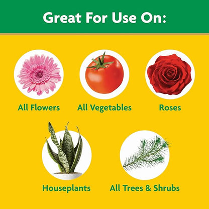 Miracle-Gro Water Soluble All Purpose Plant Food - Fertilizer For All Indoor or Outdoor Plants including Roses, Flowers, Vegetables, Houseplants, Trees, and Shrubs, 1.5 lbs.