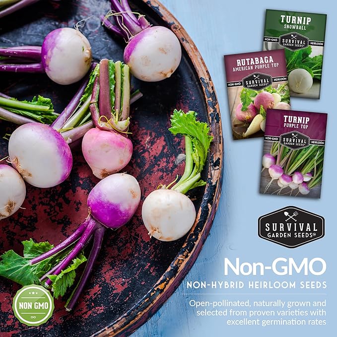 Turnip & Rutabaga Seeds Collection – 3 Varieties for Fall & Spring Planting | Purple Top Turnip, Snowball White Turnip, American Purple Top Rutabaga | Survival Garden Seeds