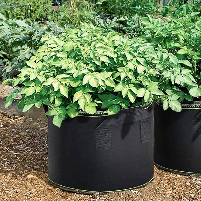 DOITOOL 5 Pack Plant Grow Bags 11.4 Inch Nonwoven Fabric Seedling Pots with Drainage for Vegetable Flower Garden Nursery Use