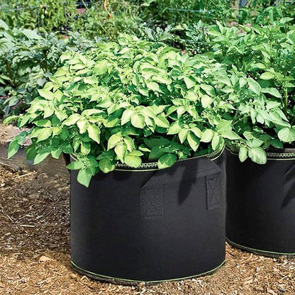 DOITOOL 5 Pack Plant Grow Bags 11.4 Inch Nonwoven Fabric Seedling Pots with Drainage for Vegetable Flower Garden Nursery Use