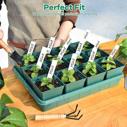 June Fox 60 Small Nursery Pots for Plants, 5 Seed Starter Tray Kit, 3.3 Inch Plastic Seedling Pots with Seedling Starter Trays, 60 Plant Tags (Green)