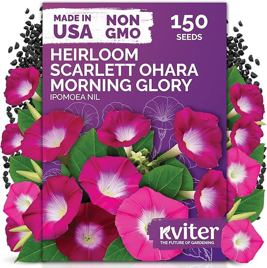 KVITER 150 Scarlett O'Hara Morning Glory Seeds for Planting (Ipomoea Nil) – Red Morning Glory Vine Seed Packets – Non GMO Heirloom Flower Seeds to Plant Outside Home Garden, Containers, Trellises