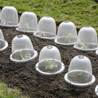 Tierra Garden 50-1110 Haxnicks Victorian Bell Plant Protector, Baby, 3-Pack