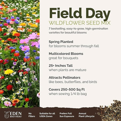 Eden Brothers Field Day Flower Mixed Seeds for Planting, 1/4 lb, 120,000+ Seeds with Zinnia Lilliput, Calendula Mix | Attracts Pollinators, Plant in Spring or Fall, Zones 3, 4, 5, 6, 7, 8, 9, 10
