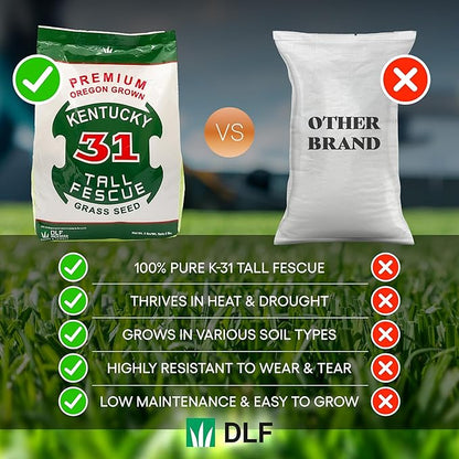 X-Seed Oregon Grown Kentucky 31 Tall Fescue Grass Seed for Sun and Shade Drought-Resistant Lawn for High Traffic, Forage & Turf Grass – Designed for Extreme Durability & Retaining Moisture – 5 lb Bag