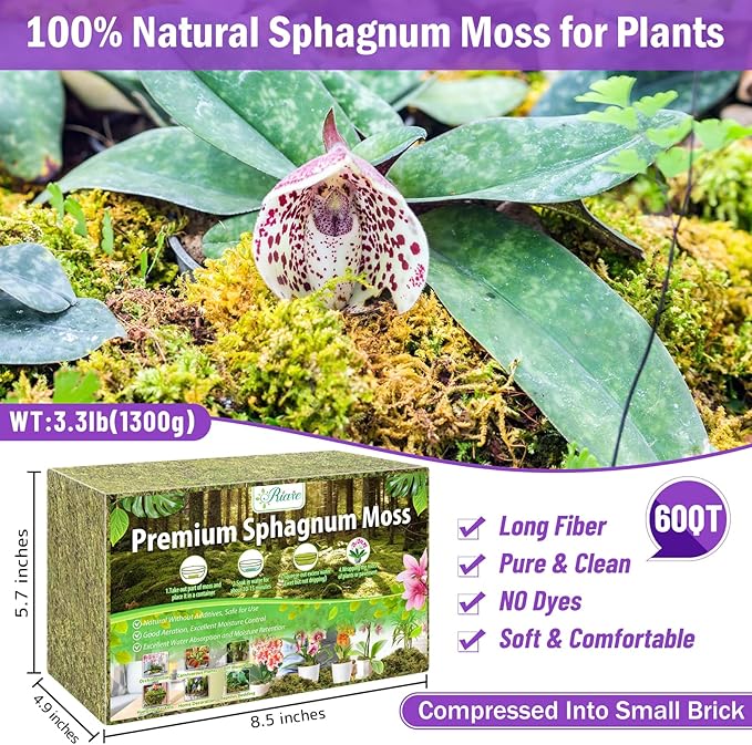 Riare 3.3LBS Premium Sphagnum Moss for Plants- 60QT Natural Dried Plant Moss for Potted Plants, Orchid Moss for Repotting, Soft Green Decorative Moss for Succulents, Reptiles & DIY Crafts