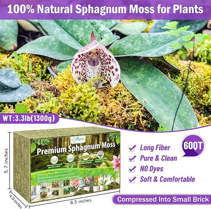 Riare 3.3LBS Premium Sphagnum Moss for Plants- 60QT Natural Dried Plant Moss for Potted Plants, Orchid Moss for Repotting, Soft Green Decorative Moss for Succulents, Reptiles & DIY Crafts
