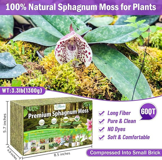 Riare 3.3LBS Premium Sphagnum Moss for Plants- 60QT Natural Dried Plant Moss for Potted Plants, Orchid Moss for Repotting, Soft Green Decorative Moss for Succulents, Reptiles & DIY Crafts