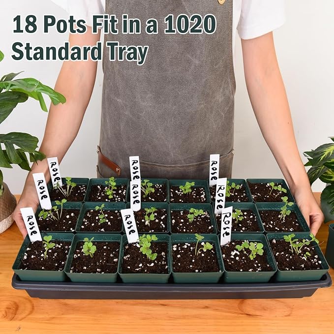 June Fox 100 Pack Green Square Nursery Pots with Drainage Holes 3.3 Inches Flexible Plastic Seedling Pots Square Pots for Plants, Succulent, Flower, with Plant Labels