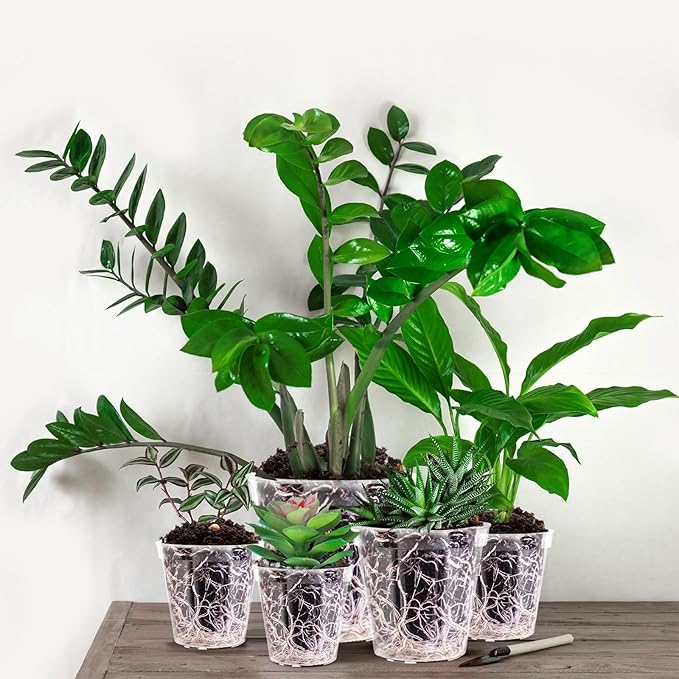 Vesici 24 Pcs 4/5/6/7/8/9 Inch Large Size Clear Nursery Pots Variety Pack Plant Pots with Drainage Holes Planters for Indoor Plants Flexible Transparent Plastic Plant Bottle Succulents