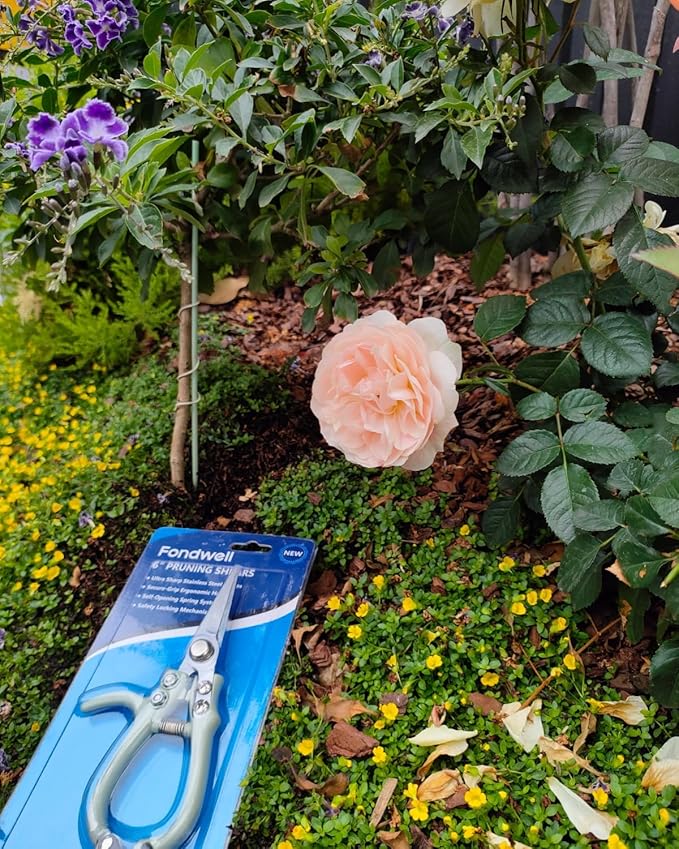 Fondwell 6" Pruning Shears Garden Scissors: Ultra Sharp Garden Clippers - Reliable Flower Snips for Trimming Small Plants
