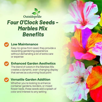 Outsidepride Marbles Mixed Four O'clock Flower Seeds - 200 Pcs Perennial Fragrant, Trumpet-Shaped Blooms, Deer-Proof & Easy to Grow, for Pollinator & Evening Gardens, Containers, Hedges, or Borders