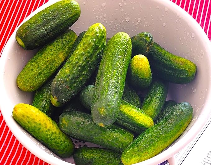 TomorrowSeeds - Parisian Gherkin Cucumber Seeds - 300+ Count - for 2026 Planting French Cornichon Baby Cucumbers Pickle Mini Kirby Cocombro Hybrid Vegetable Grow Your Own Home Farm Patio Healthy