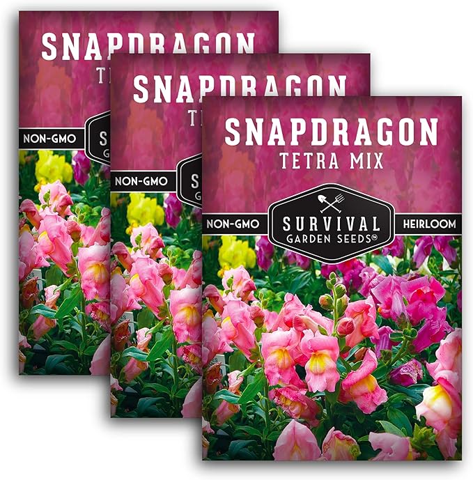 Survival Garden Seeds - Snapdragon Tetra Mix Seed for Planting - 3 Packs with Instructions to Plant and Grow Beautiful Colorful Flowers in Your Home Vegetable Garden - Non-GMO Heirloom Variety