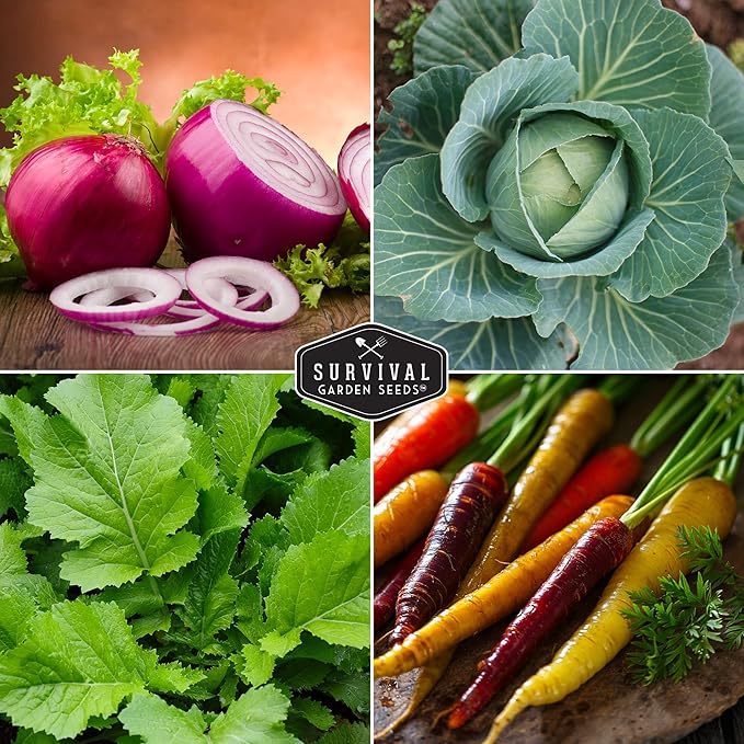 10 Spring Vegetable Seed Collection for Planting | Cool Season Root Vegetables & Leafy Greens, Suitable for Fall & Winter Gardens – Heirloom Non-GMO Variety Pack | Survival Garden Seeds