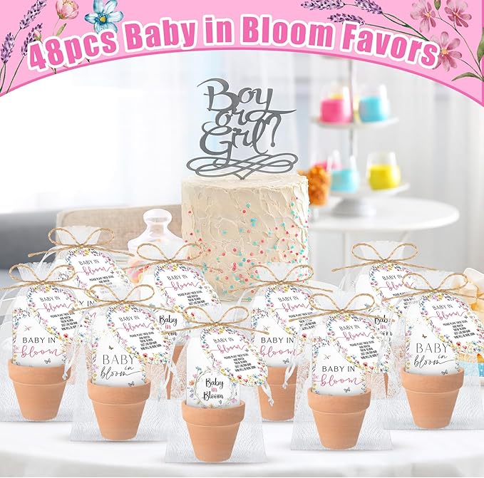Baby Shower Party Favors Baby in Bloom Envelopes Seed Packets Include 48 Mini Terracotta Pots Seed Packets 48 Self Adhesive Envelopes Thank You Tags Gifts for Party