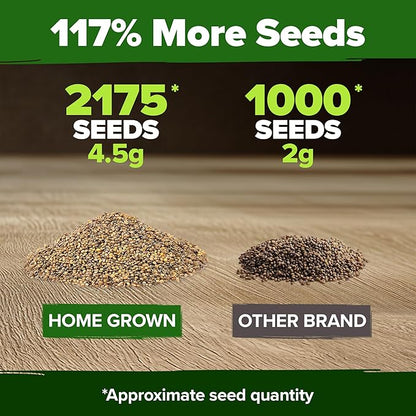HOME GROWN Non GMO Arugula Roquette Seeds Pack 2,175 Heirloom Arugula Seeds for Planting Best for Outdoor Gardens,Providing Fast-Growing Greens for Salads - Eruca vesicaria