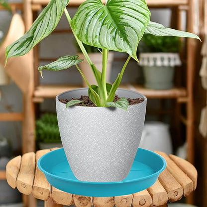 6 Pack of Plant Saucer Tray 9 10 inch, Heavy Duty Plastic Pot Plant Drip Trays Saucers for for Indoors Outdoor, Plant Water Tray for Planters 9-10" (10", Light Blue)