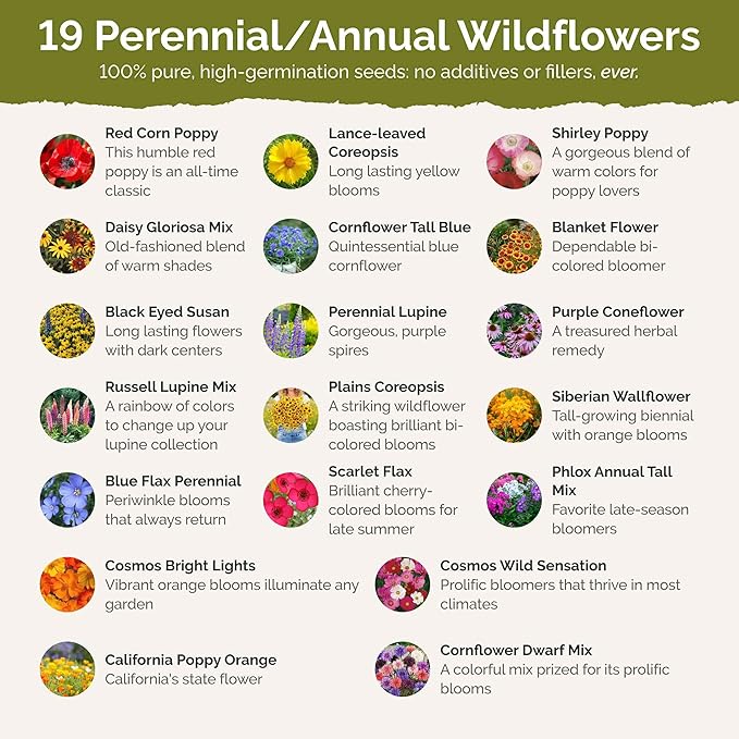 Eden Brothers New York Wildflower Mixed Seeds for Planting, 1 oz, 30,000+ Seeds with Coneflower, Cosmos | Attracts Pollinators, Plant in Spring or Fall, Zones
