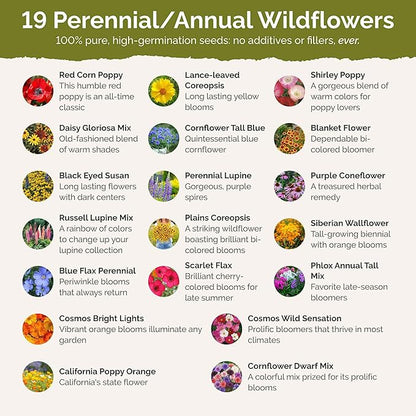 Eden Brothers Missouri Wildflower Mixed Seeds for Planting, 1/4 lb, 120,000+ Seeds with Lupine, Coreopsis | Attracts Pollinators, Plant in Spring or Fall, Zones