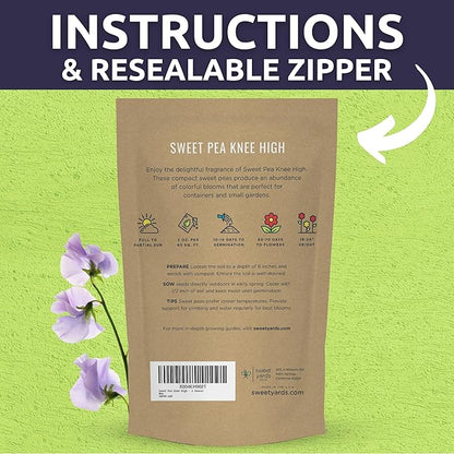 Sweet Pea Knee High - Bulk 2 Ounce Pouch - 600 Flower Seeds for Planting - Lathyrus odoratus