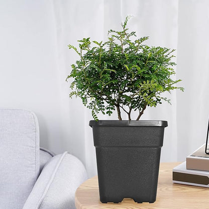 Square Planter Nursery Pots 9.77 Gallon Pots for Plants, Injection Molded Plastic Nursery Pots, Plant Container 9.77 Gal 5-Pack
