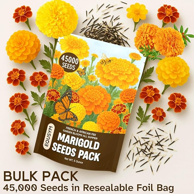 45,000+ Marigold Seeds (Cempasúchil) - Tagetes erecta & T. patula Mix, 5 oz Bulk, High Germination Rate, for Landscapes, Pollinator Beds & Fall Displays, Resealable Foil Pouch (5oz)