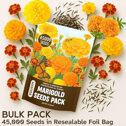 45,000+ Marigold Seeds (Cempasúchil) - Tagetes erecta & T. patula Mix, 5 oz Bulk, High Germination Rate, for Landscapes, Pollinator Beds & Fall Displays, Resealable Foil Pouch (5oz)