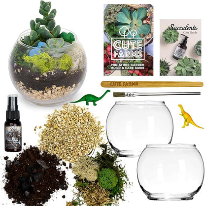 Cute Farms Glass Terrarium Kit | Just Add Your Own Plants (Two Glass Bowls)