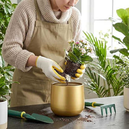 6.3'' Gold Plant Pots Vase for Indoor Plants, Metal Planters with Drainage Hole Waterproof Liner, Set of 2 Modern Decorative Round Gold Planter for Tabletop Succulents Snake Cactus