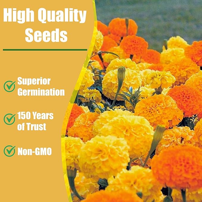 Park Seed Durango Mix Marigold Flower Seeds – French Dwarf Anemone-Type with 2-Inch Blooms in Red, Yellow, Tangerine & Bicolors, Heat-Tolerant, Early Blooming for Beds & Containers – Pack of 50