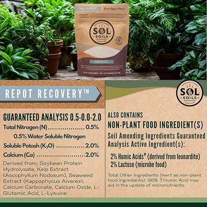 Sol Soils Sol Biotics Repot Recovery - Plant Root Stimulator, Treatment from Stress of Transplant Shock & Growth Support Supplement for Roots - 4oz