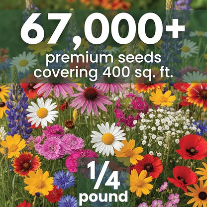 Northeast Natives Mix – 67,000 Seeds for Planting – 2026 Season – 4 Ounce Pouch