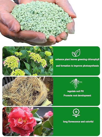 USEDDIG 1LB Ferrous Sulfate Heptahydrate Fertilizer- 20% Iron (Fe), 12% Sulfur, Indoor/Outdoor Soil Acidifier for Plants Vegetables and Flower Gardens