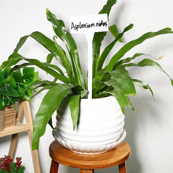 35pcs White Plastic Plant Tags, 11.81 Inch Garden Markers with Slanted Design, Waterproof Stakes for Outdoor and Indoor Plant Labeling, Ideal for Flowers, Herbs, Vegetables, Easy Identification