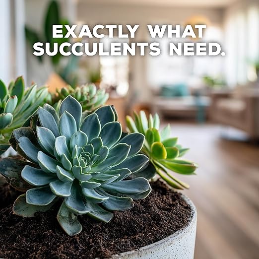 Soil Seed & Water Succulent Success Potting Mix – Fast-Draining Soil for Succulents, Cactus & Houseplants - Indoor and Outdoor Mix - OMRI Listed