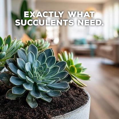 Soil Seed & Water Succulent Success Potting Mix – Fast-Draining Soil for Succulents, Cactus & Houseplants - Indoor and Outdoor Mix - OMRI Listed