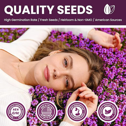 20000+pcs Purple Creeping Thyme Seed for Planting, Non-GMO Heirloom Perennial Ground Cover Flowers Seeds, Lawn Alternative, Fragrant Herb Seeds for Lawns & Paths Garden Backyard