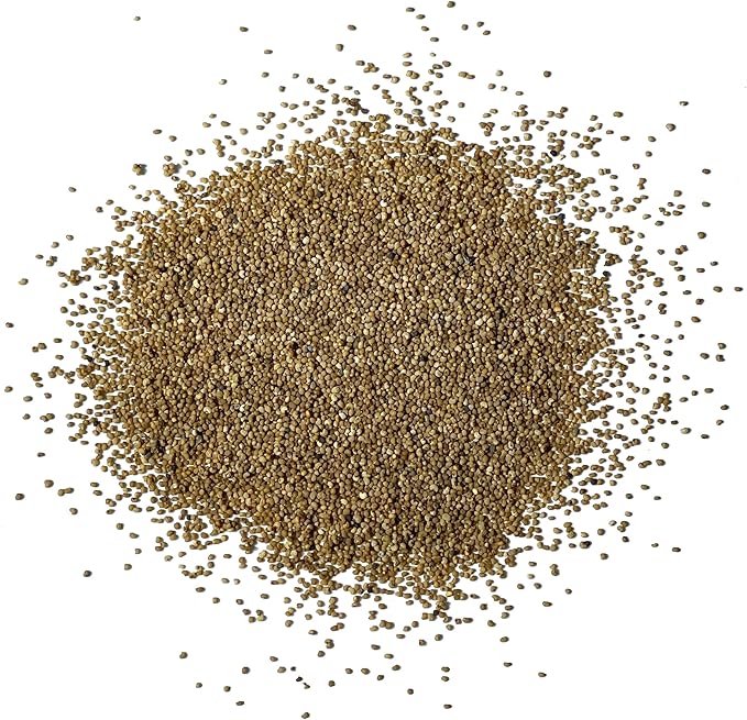 Seed Needs Danish Flag Poppy Seeds for Planting - Heirloom & Open Pollinated Annual Flowers - Attracts Pollinators/Butterflies to a Butterfly Garden (5 Packs)