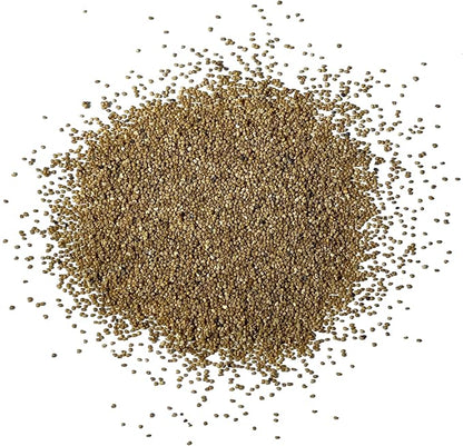 Seed Needs Danish Flag Poppy Seeds for Planting - Heirloom & Open Pollinated Annual Flowers - Attracts Pollinators/Butterflies to a Butterfly Garden (5 Packs)