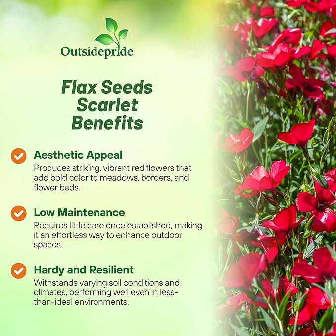 Outsidepride Scarlet Flax Seeds - 1 lb Annual Flower Seeds for Planting, Self-Seeding, Drought-Tolerant w/Compact Growth, for Small Gardens, Meadows, Borders, or Mass Plantings