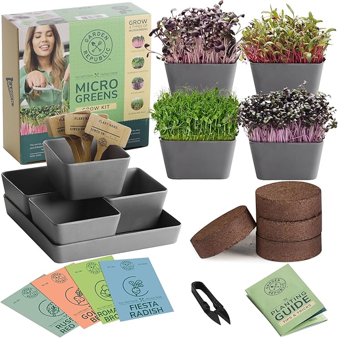 Garden Republic Microgreens Growing Kit - Micro Greens All-in-One Set with Non-GMO Seeds, Growing Trays and Planters - Microgreen Seed Tray and Soil Disks Set - Sprout Growing Kit