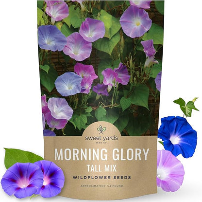Morning Glory Tall Mix - Bulk 1/4 Pound Pouch - 3,000 Flower Seeds for Planting - Ipomoea purpurea