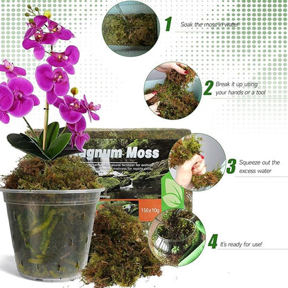Dried Forest Moss for Plants (5 qt / 1 Pack), Sphagnum Potting Moss for Various Plants, Including Orchids, Carnivorous Plants, Succulents, Garden Flowers, and Reptiles
