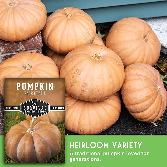 Fairytale Pumpkin Seeds for Planting | Musquée de Provence Heirloom Cucurbita Moschata - Sweet Flavor Pumpkins for Storage, Pies, Soups, Fall Décor - Survival Garden Seeds (2 Packs)