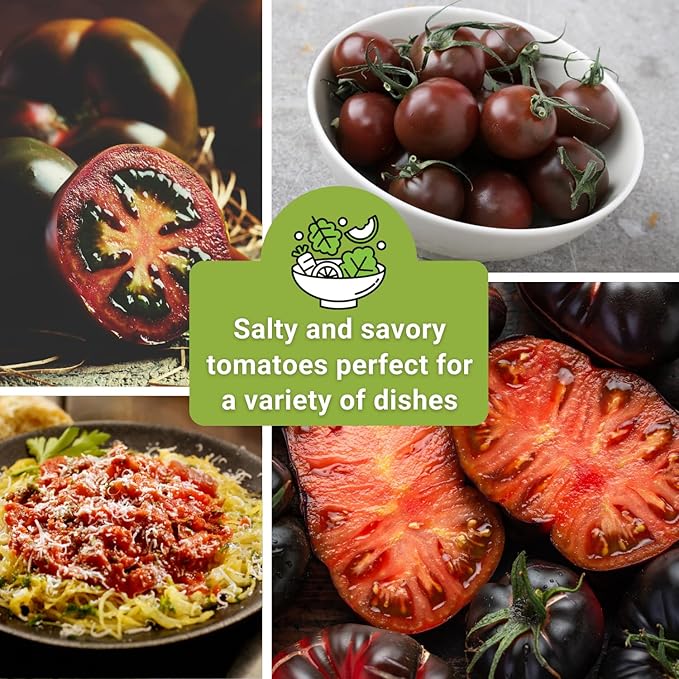 Sow Right Seeds - Black Tomato Seed Collection for Planting - Krim, Brandywine, Cherry, and Beauty Tomatoes - Non-GMO Heirloom Varieties to Plant a Home Vegetable Garden - Savory and Salty Favorites