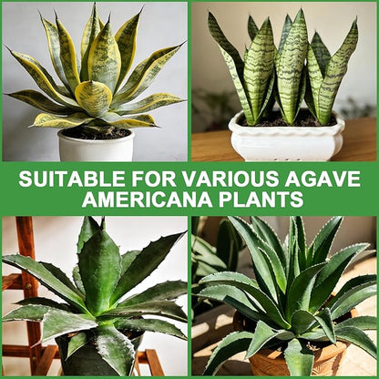 Organic Snake Plant Potting Soil 10qt- Well-Draining Nutrient-Rich Mix for Healthy Roots & Faster Growth, Natural Soil for Sansevieria Plants
