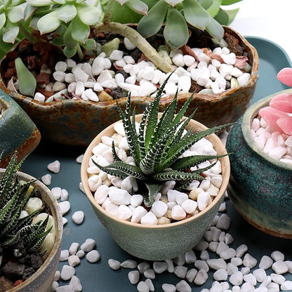 White Rocks. Decorative Pebbles. 1/5 Inch 2 lbs for Garden, Landscaping, Indoor, Vase Fillers, Crafting, Succulents, Pots, Plants (Mini, Tumbled, 2)